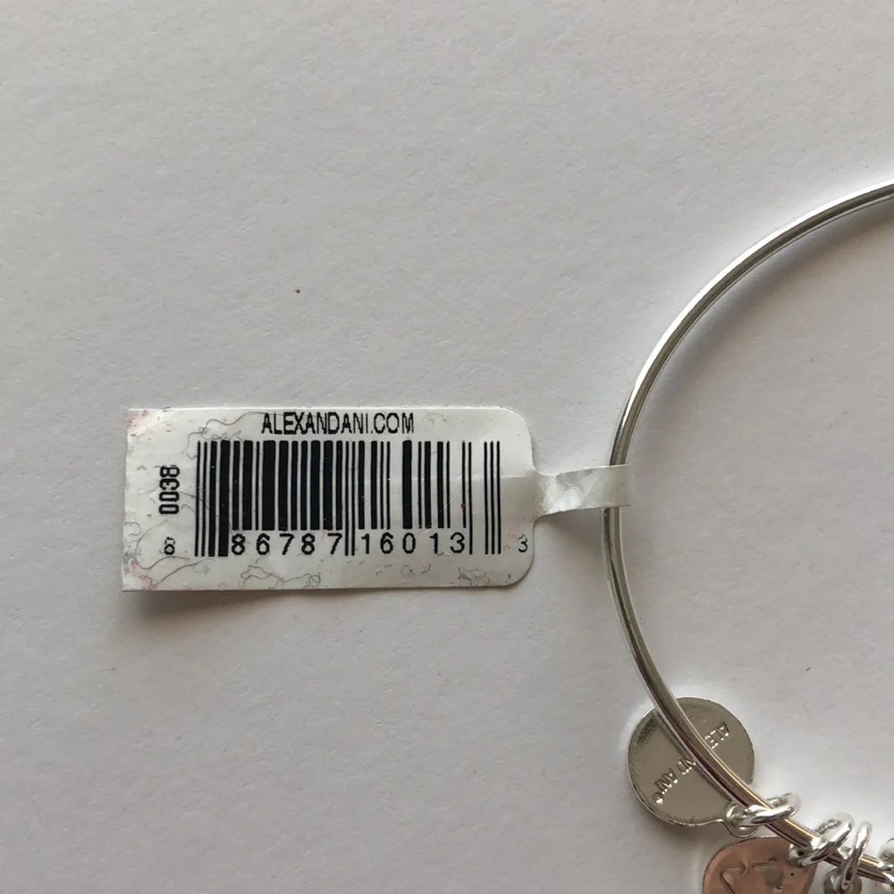 Alex and Ani Elf Raised by Elves Bangle Shiny Silver Bangle Bracelet - Picture 4 of 4
